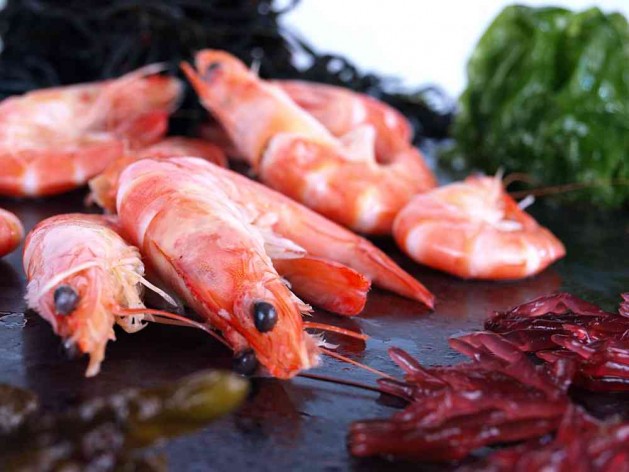 Comprar langostino online