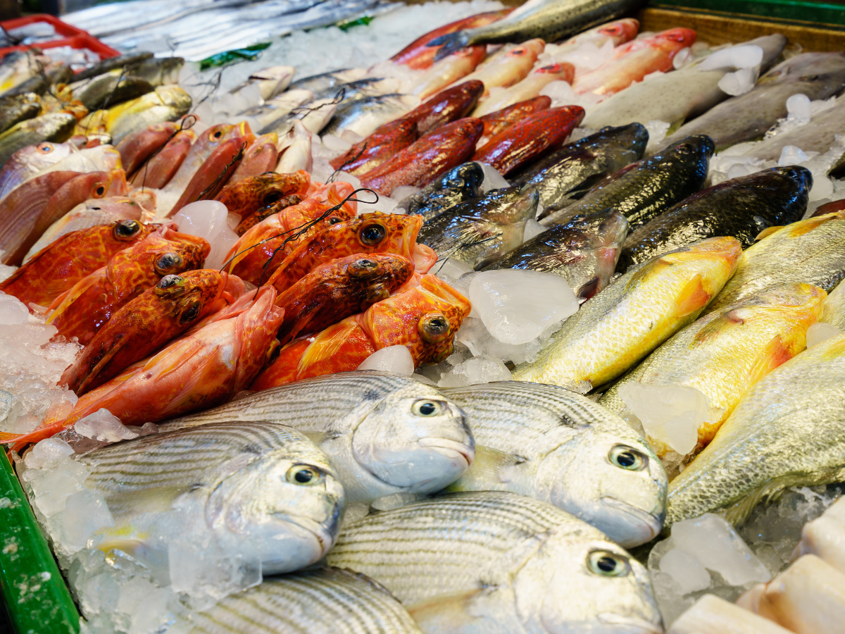 El pescado como alimento clave para combatir el estrés y la fatiga