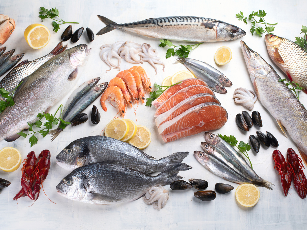 Beneficios y diferencias a nivel nutricional entre pescado y marisco